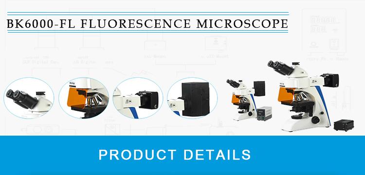 China LED Light Source Fluorescence Microscope