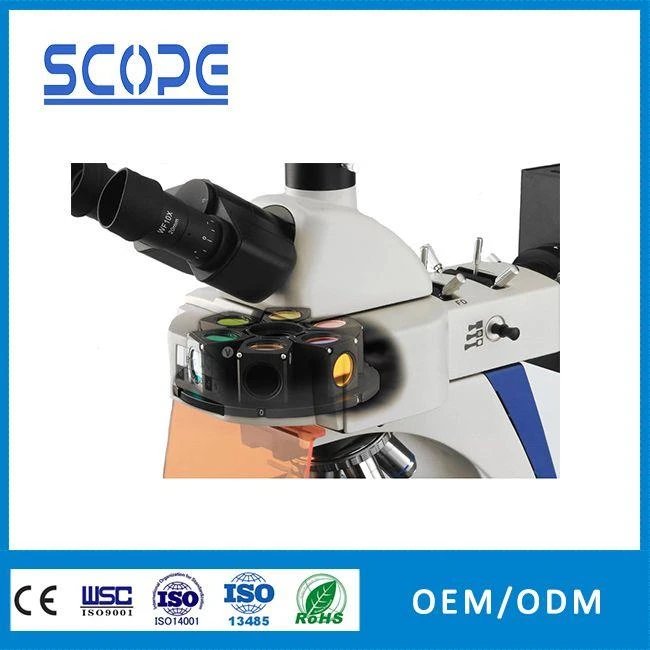 China led light source fluorescence microscope