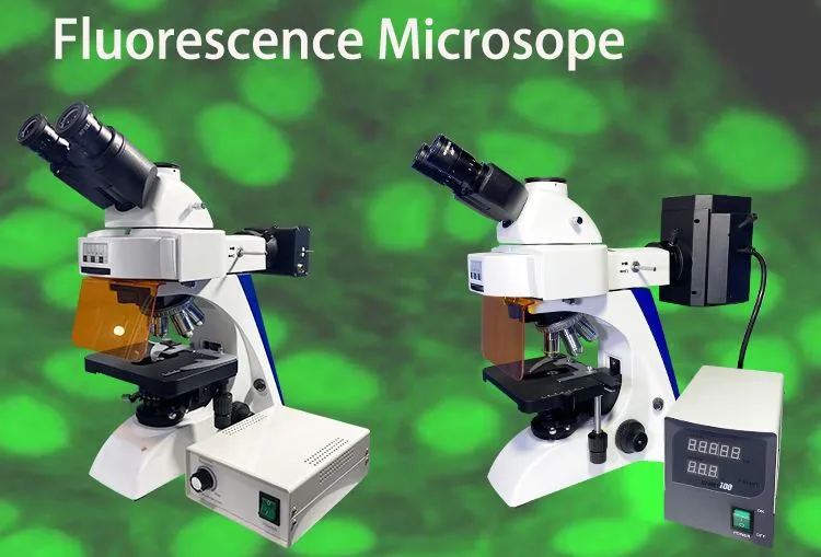 Ny uppgradering av upprättstående fluorescensmikroskop